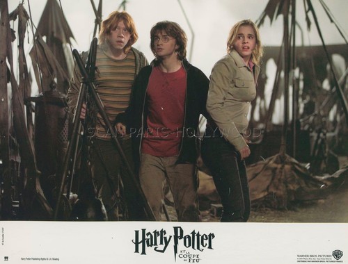 Daniel radcliffe harry - harry, potter