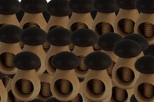 Set 100 casse-noix bois