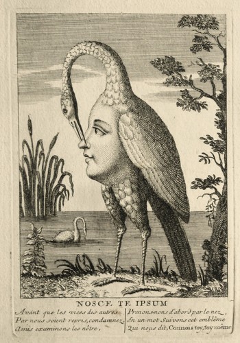 Rare gravure allégorique - , 18è