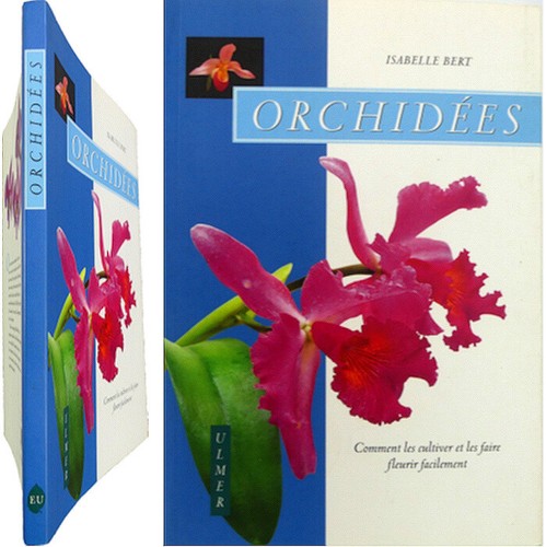 Orchidées isabelle bert - orchidÉes,