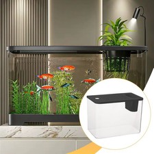 Reptile Terrarium Clear View