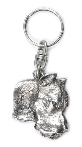 Dogue argentin dogo argentino - dogue,