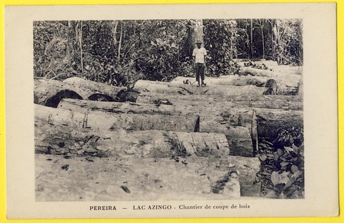 Cpa africa gabon - gabon, pereira