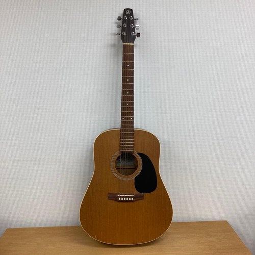 Guitare acoustique seagull - guitare,