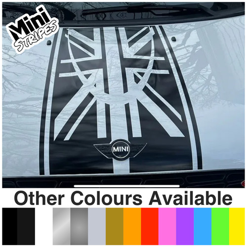 Mini countryman union - countryman,
