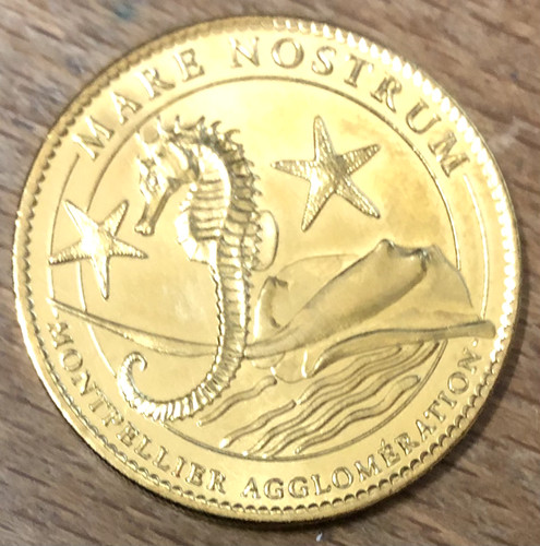 2008 monpellier hippocampe - monpellier,