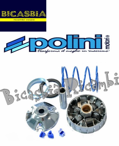 12495 variateur polini - 12495, 2t