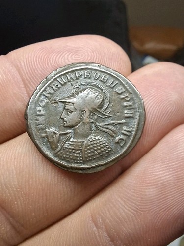 Aurelianus probus - aurelianus,