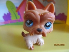 Petshop chien westie #249 /