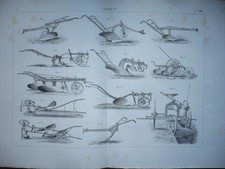 GRAVURE 1880 AGRICULTURE