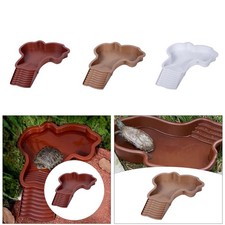 Bassin de bain pour reptiles