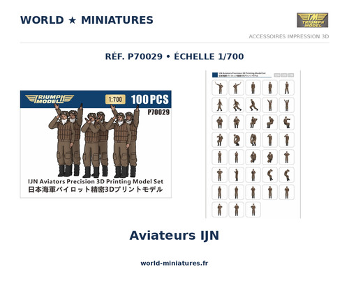 Triumph p70029 700 ijn - 1/700,