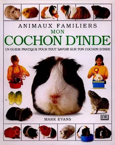 Mon cochon inde mark - mon,