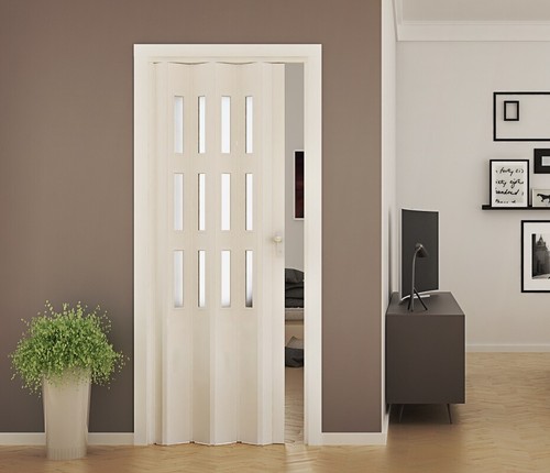 Porte accordéon pliante pvc - pliante,