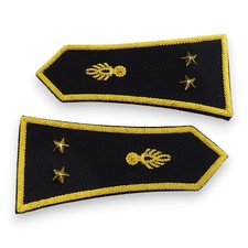 Paire d'épaulettes pour spencer. Géneral de Brigade