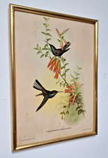 Cadre Ancien Gravure