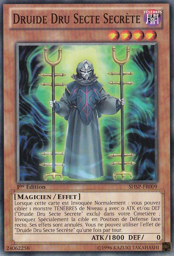 Druide dru secte secrète - druide,