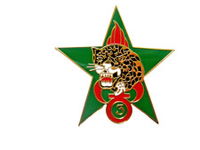 INSIGNE LEGION ETRANGERE 3°REI BREVET COMMANDO ECLAIREUR JUNGLE GUYANE JMM