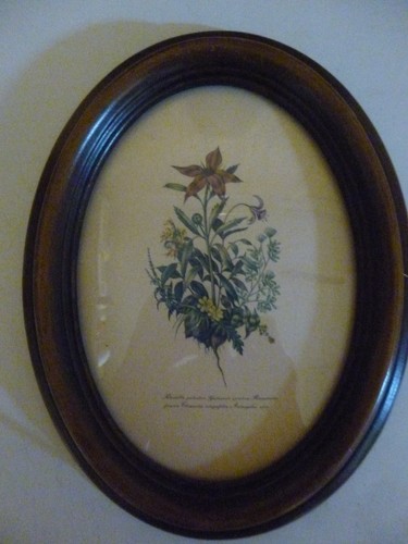 Tableau encadré ovale fleur - encadré,