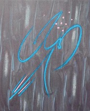 André VERDET : Le perroquet