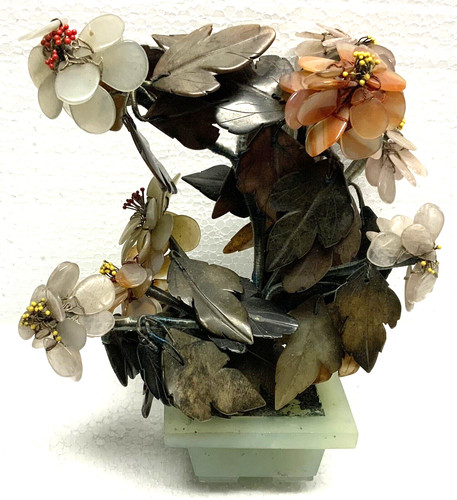 Ancien bonsai arbre fleurs - bonsai,