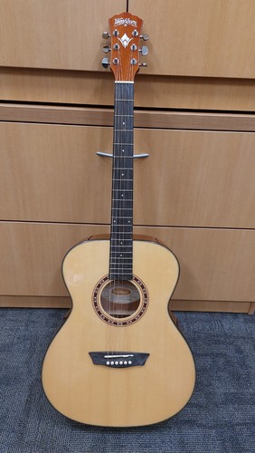 Washburn apprentice series - washburn,