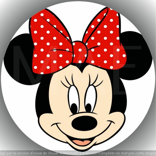 Minnie . Décoration de