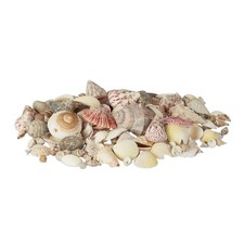 Mélange de coquillages coquilles de mer 1kg filet décoration maritime coloré