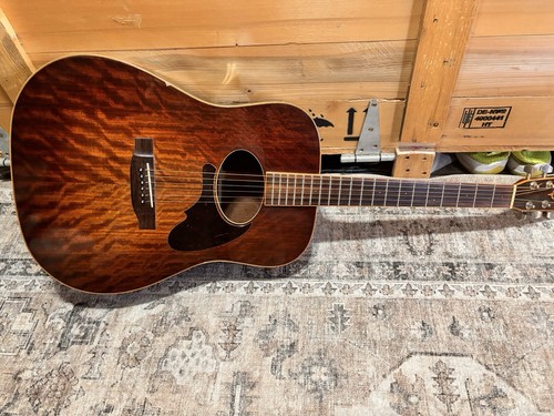 Daion the acoustic guitar - daion,
