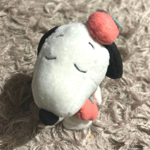 Snoopy cha karuizawa - snoopy, cha-ya