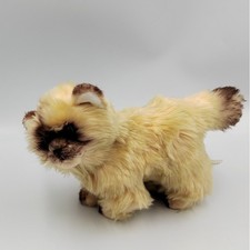 Peluche chat beige marron yeux
