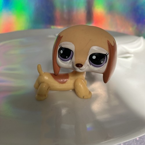 Petshop chien teckel 2529 - chien, n°2529