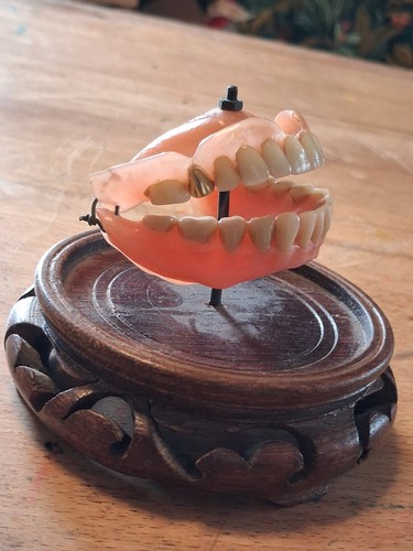 Cabinet curiosité dentier - cabinet,