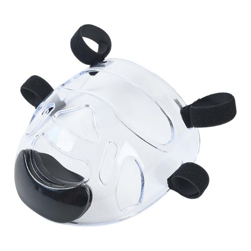 Taekwondo face shield - taekwondo,