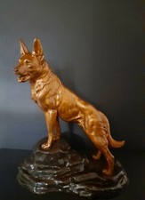 Berger Allemand Régule Signé