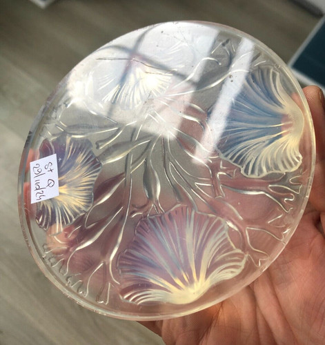 Dessous bouteille opalescent - dessous,