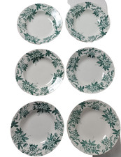 assiettes creuses terre de fer