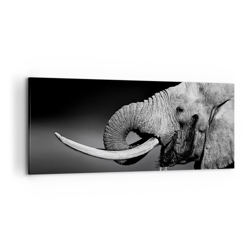 Impression sur toile - impression, 120x50cm
