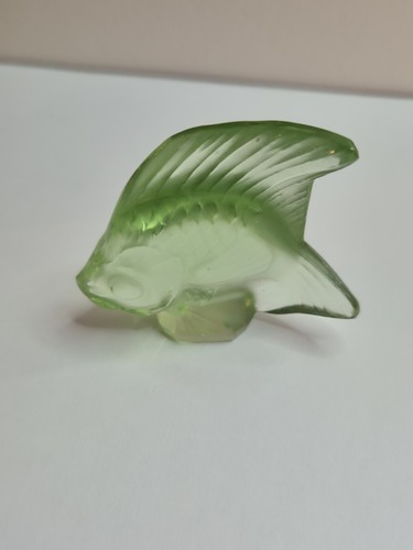 Magnifique miniature poisson - magnifique,