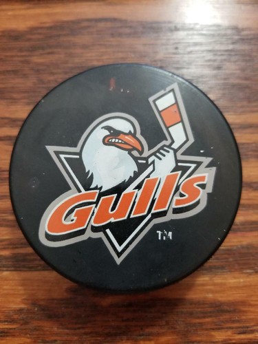 San diego gulls hockey - gulls, puck