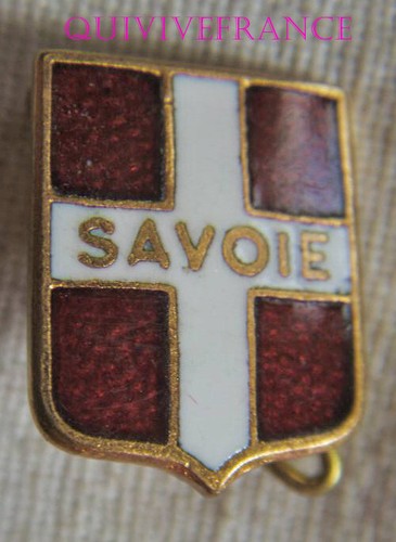 Bg14045 insigne badge - -,
