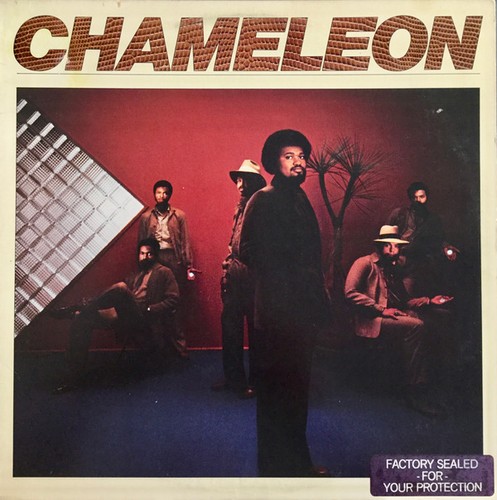 Chameleon vinyl - chameleon,