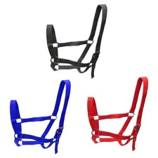 Licol pour cheval, licol