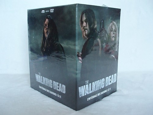 Serie horreur zombies the - serie,