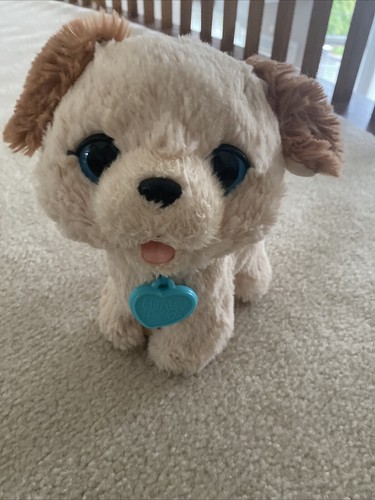 Furreal friends dog - friends, euc!!