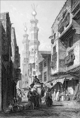 égypte chameau et - -,