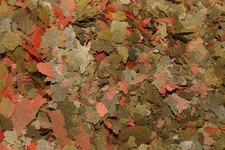 2000 Ml Malawi Nourriture En