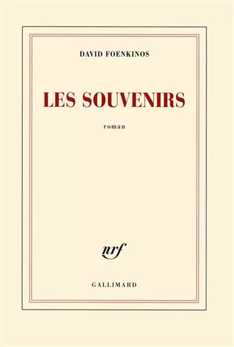 Les souvenirs david foenkinos - les, souvenirs,