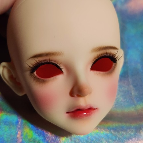 Luts super delf - lucia, head