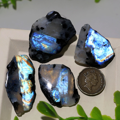 Palette moonlit 4 pièces - ~,